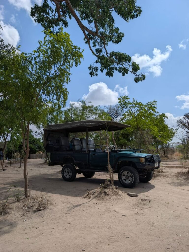 WhatsApp Image 2026-01-07 at 22.13.40 (1)