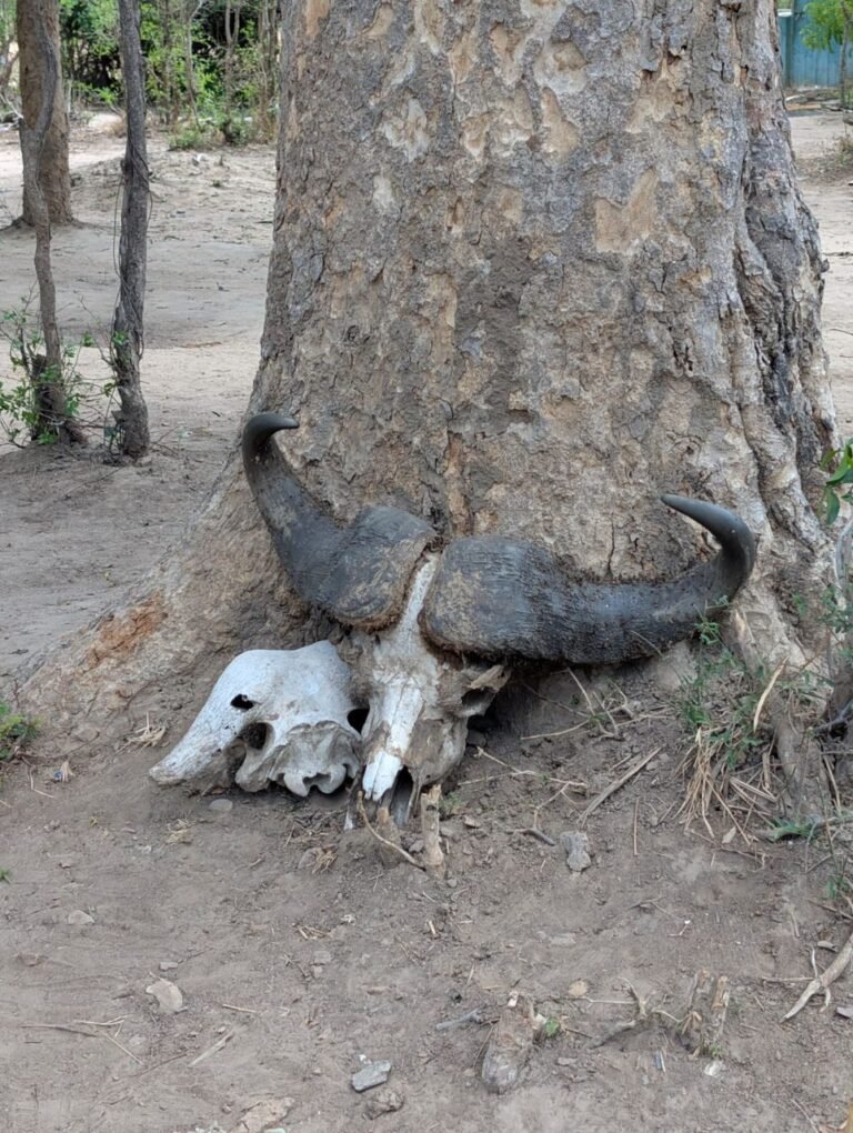 WhatsApp Image 2026-01-07 at 22.13.40