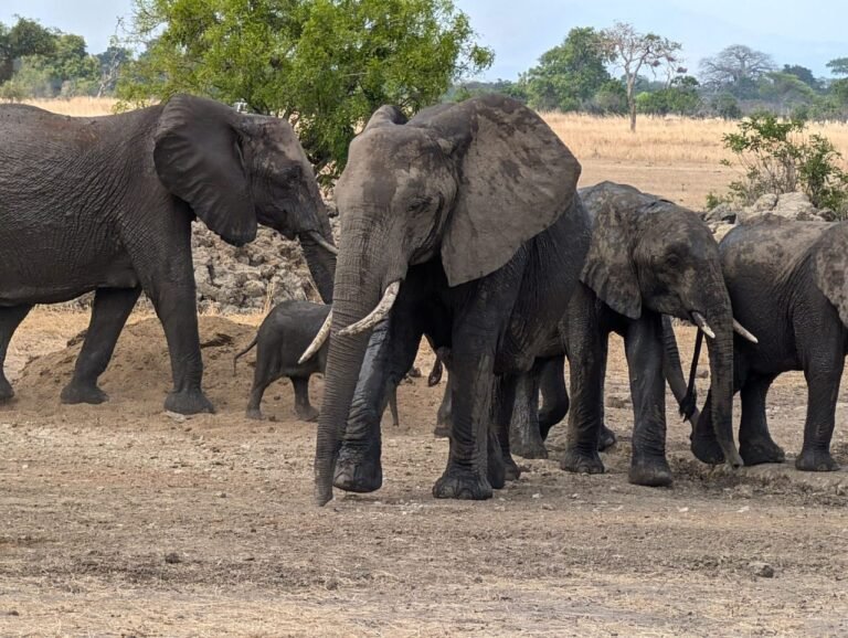 WhatsApp Image 2026-01-07 at 22.13.41 (1)