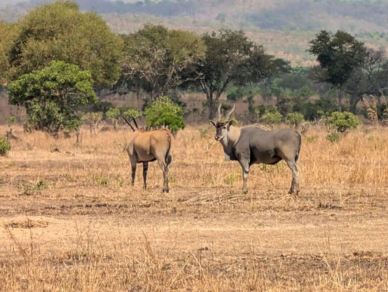 WhatsApp Image 2026-01-07 at 22.13.41