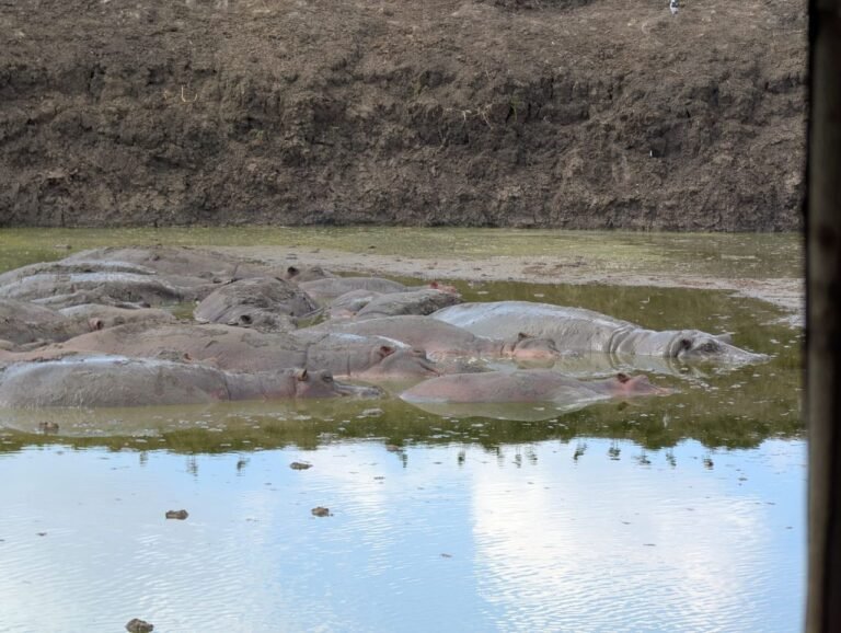 WhatsApp Image 2026-01-07 at 22.13.42 (1)