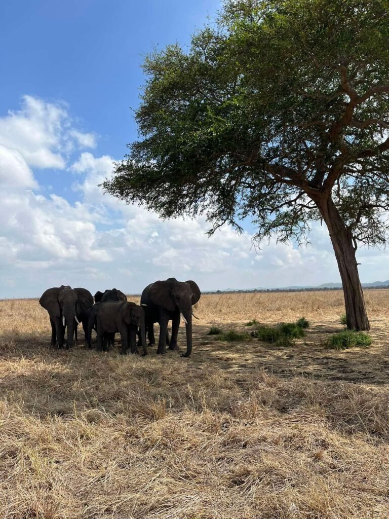 WhatsApp Image 2026-01-07 at 22.13.44 (1)