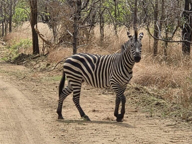 WhatsApp Image 2026-01-07 at 22.13.44