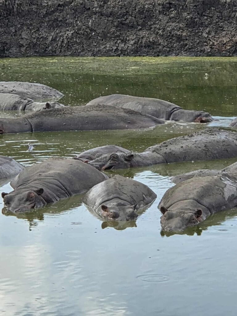 WhatsApp Image 2026-01-07 at 22.13.46 (1)