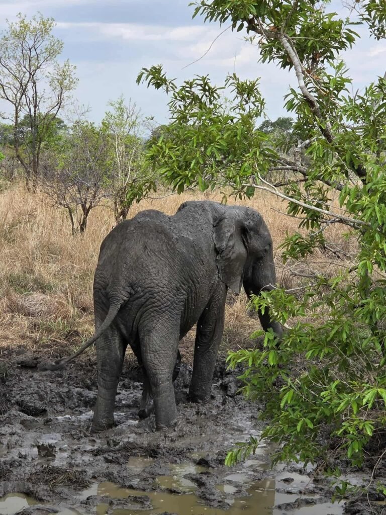 WhatsApp Image 2026-01-07 at 22.13.46