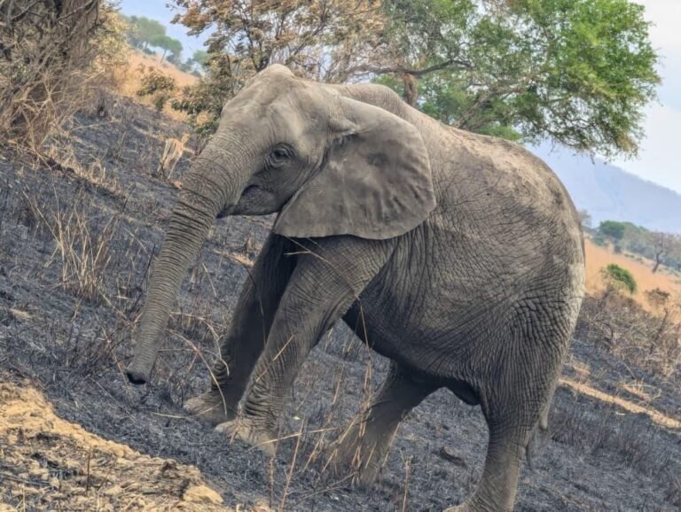 WhatsApp Image 2026-01-07 at 22.13.49 (1)