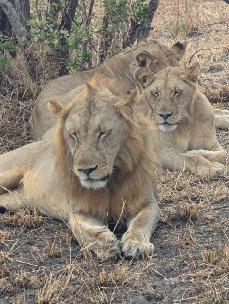 WhatsApp Image 2026-01-07 at 22.13.49