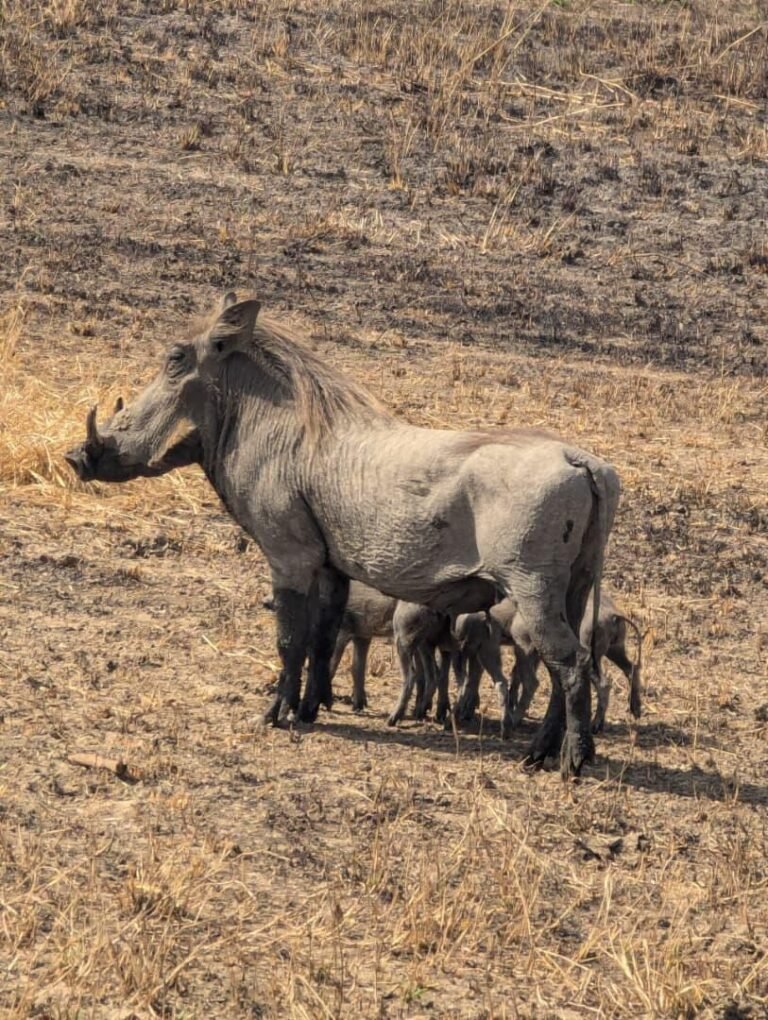 WhatsApp Image 2026-01-07 at 22.13.50