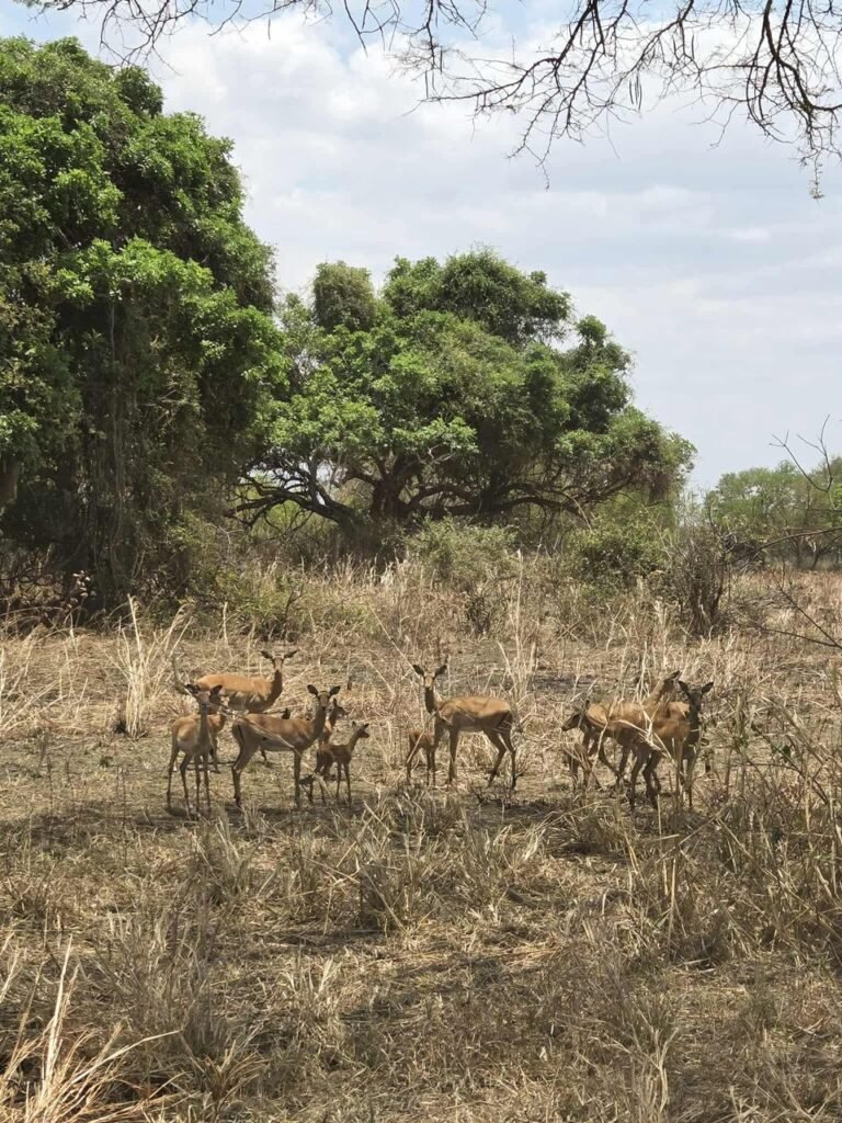 WhatsApp Image 2026-01-07 at 22.13.51