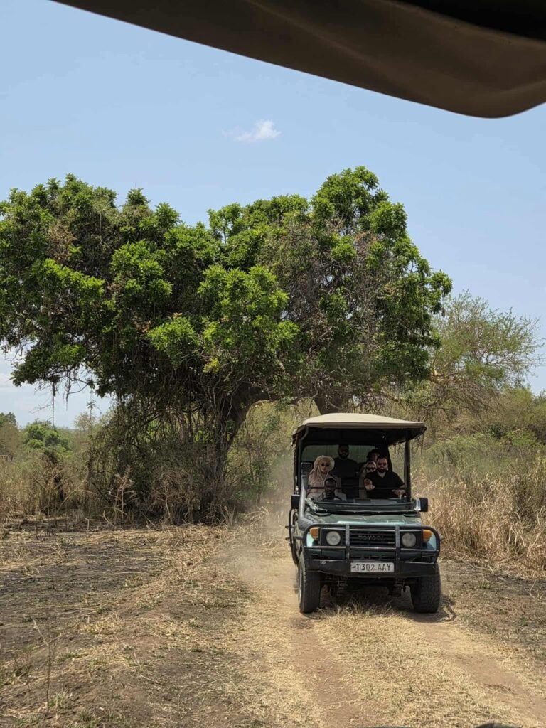 WhatsApp Image 2026-01-07 at 22.13.52