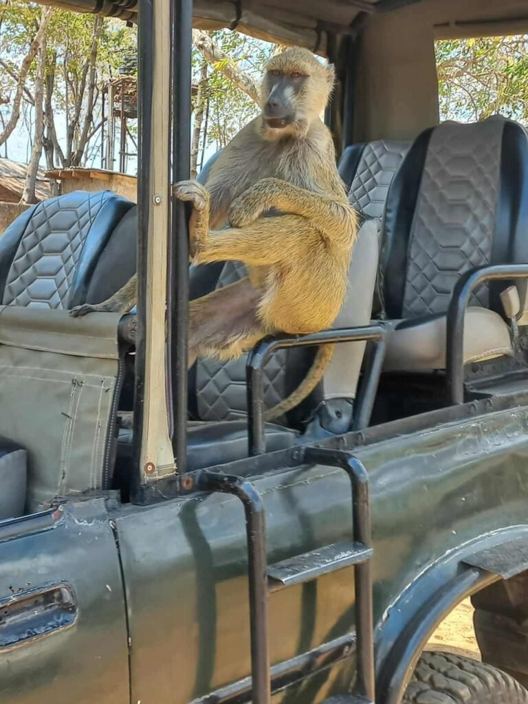 WhatsApp Image 2026-01-07 at 22.13.53