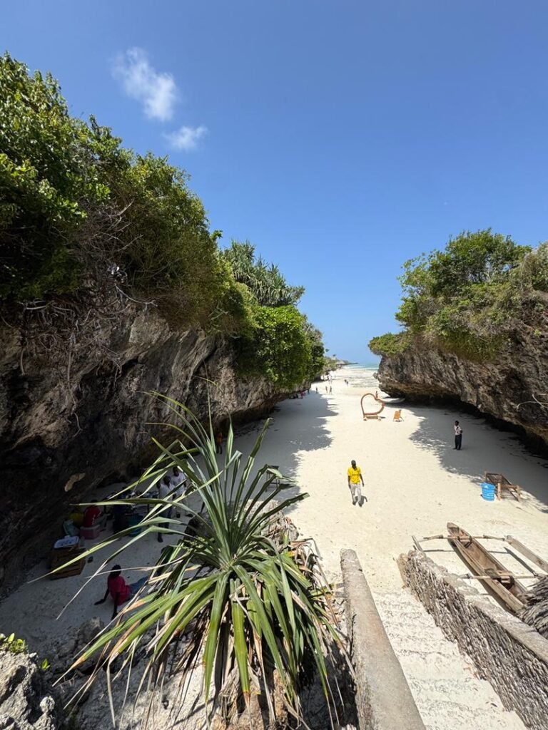 WhatsApp Image 2026-01-28 at 20.54.55