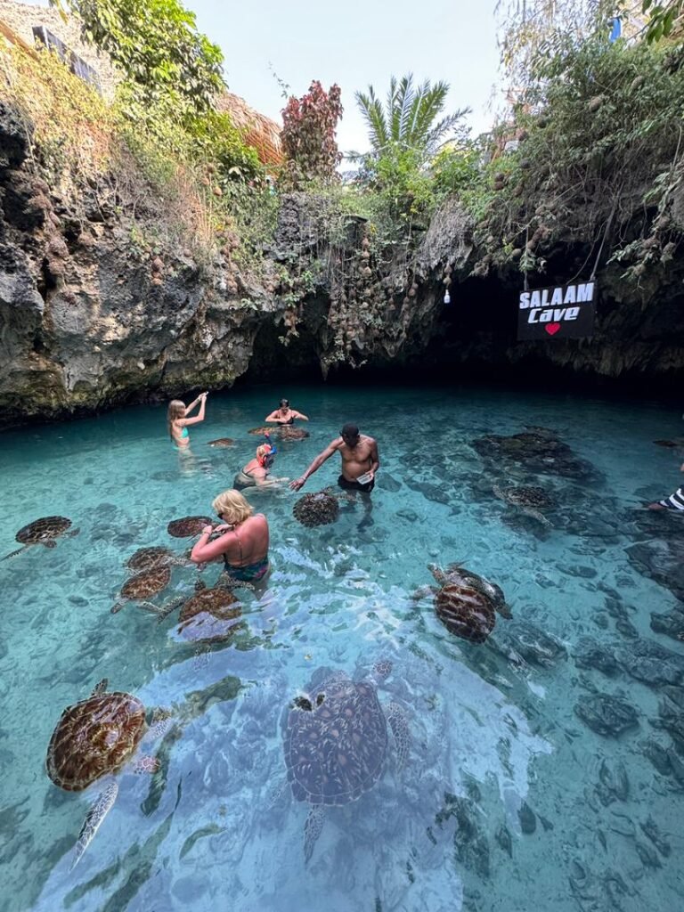 WhatsApp Image 2026-01-28 at 20.54.56 (1)