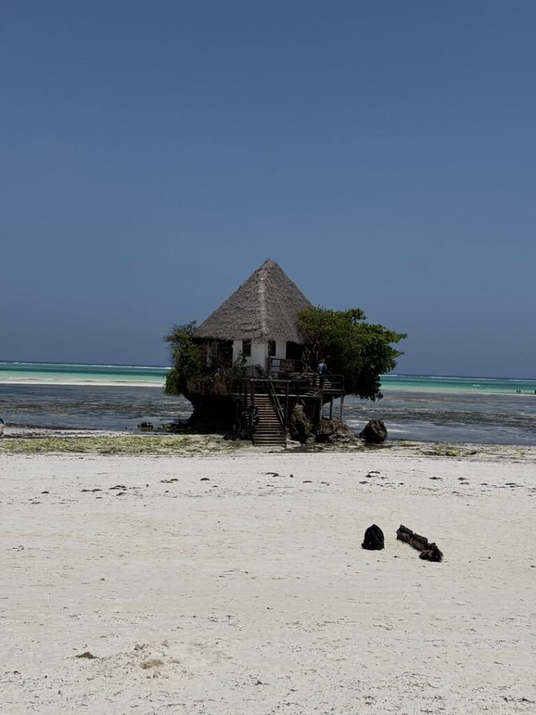 WhatsApp Image 2026-01-28 at 20.54.56 (2)