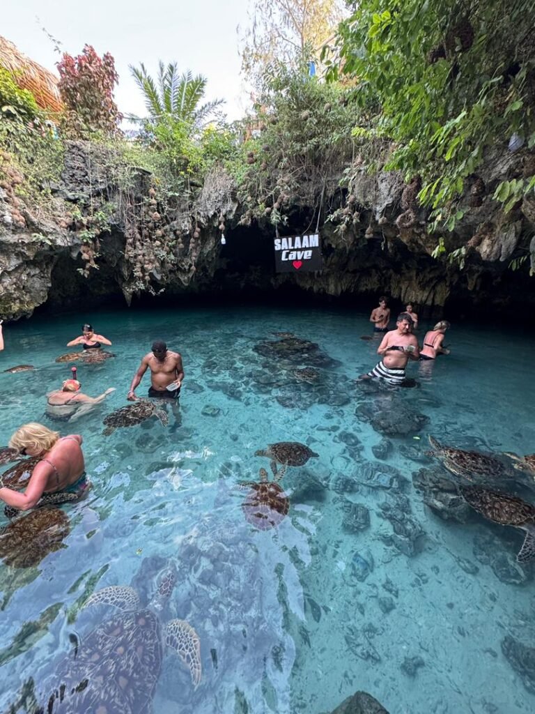 WhatsApp Image 2026-01-28 at 20.54.56