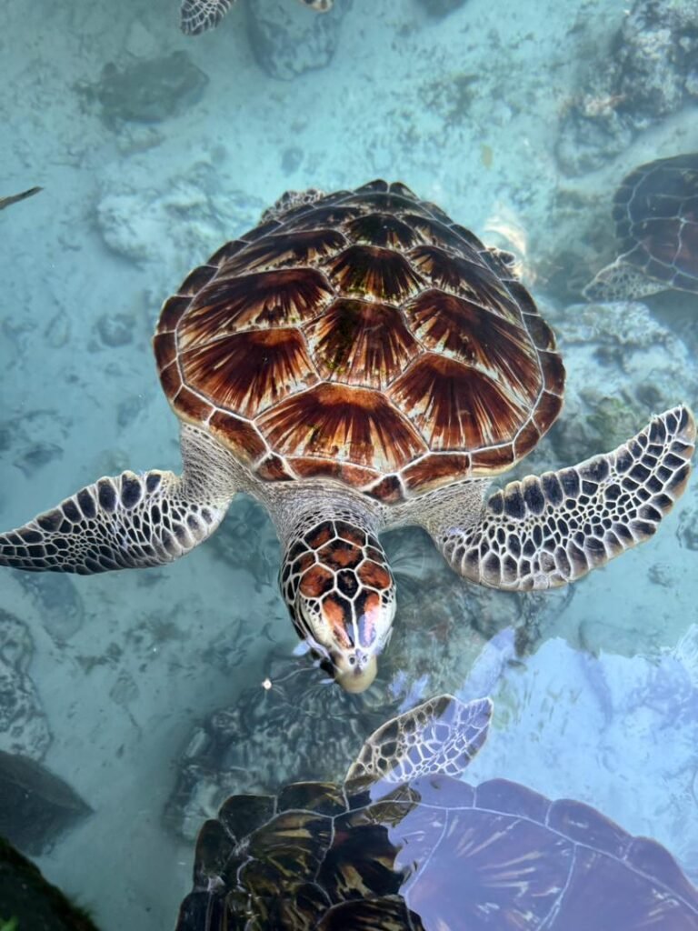 WhatsApp Image 2026-01-28 at 20.54.57