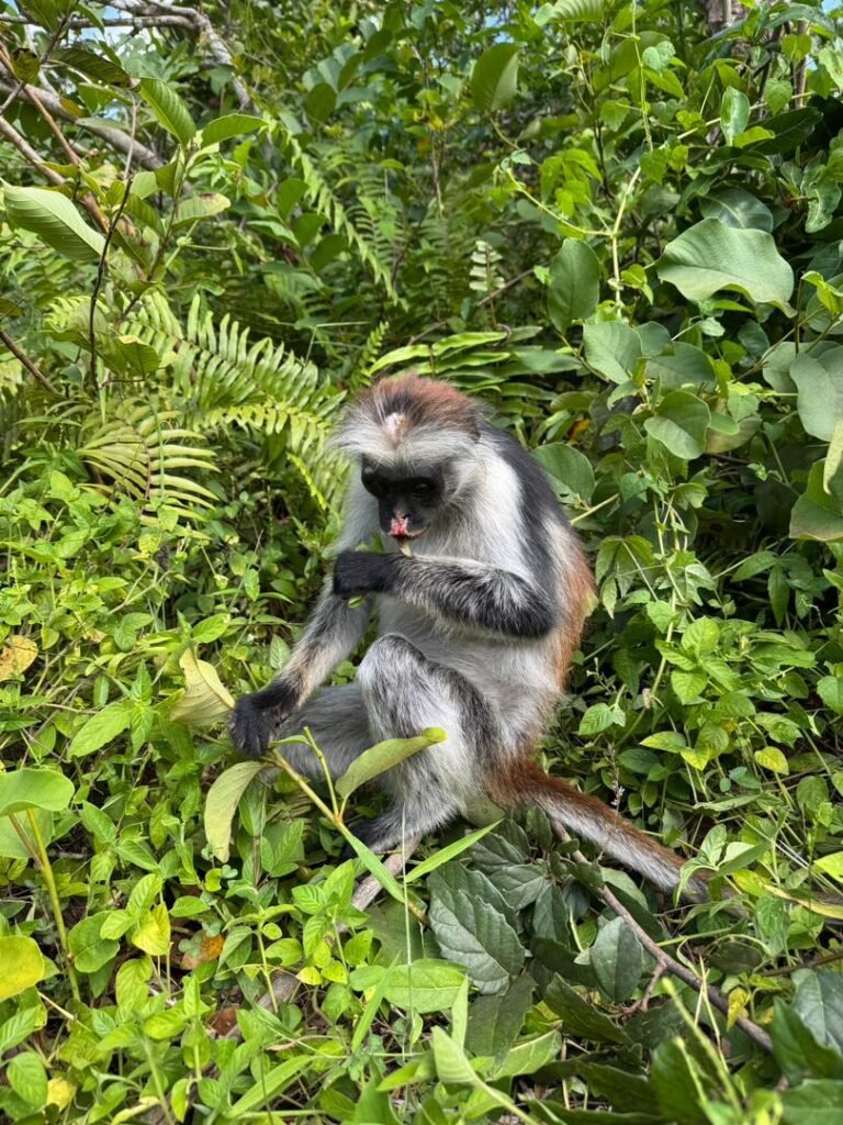 WhatsApp Image 2026-01-28 at 20.54.58 (1)