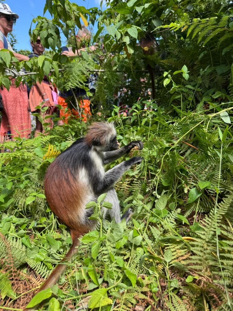 WhatsApp Image 2026-01-28 at 20.54.58