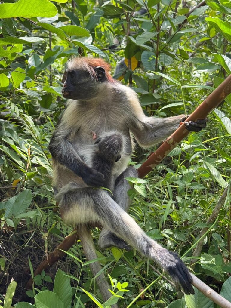 WhatsApp Image 2026-01-28 at 20.54.59