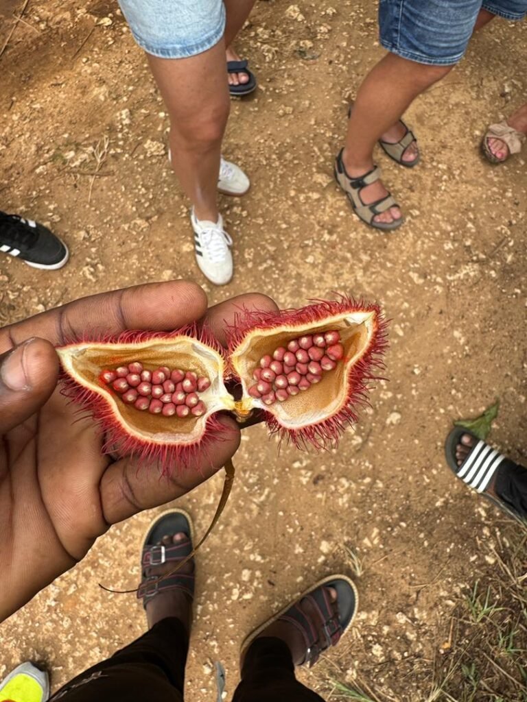 WhatsApp Image 2026-01-28 at 20.57.29