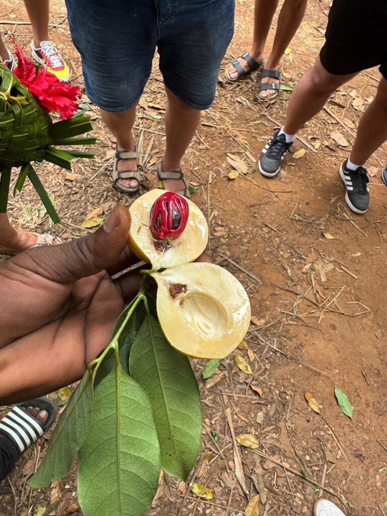 WhatsApp Image 2026-01-28 at 20.57.30