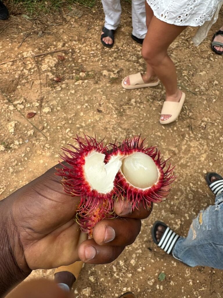 WhatsApp Image 2026-01-28 at 20.57.31 (1)