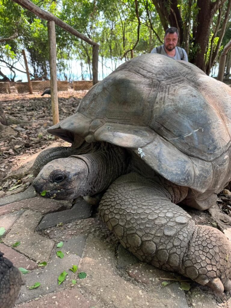 WhatsApp Image 2026-01-28 at 20.57.32