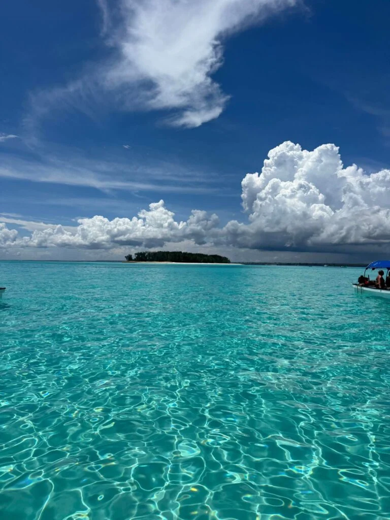 FB_IMG_1766922633098 — kopia (2)