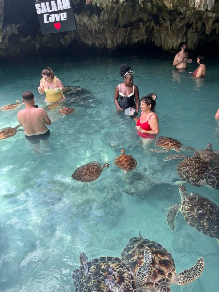 Pływanie z żółwiami na Zanzibarze